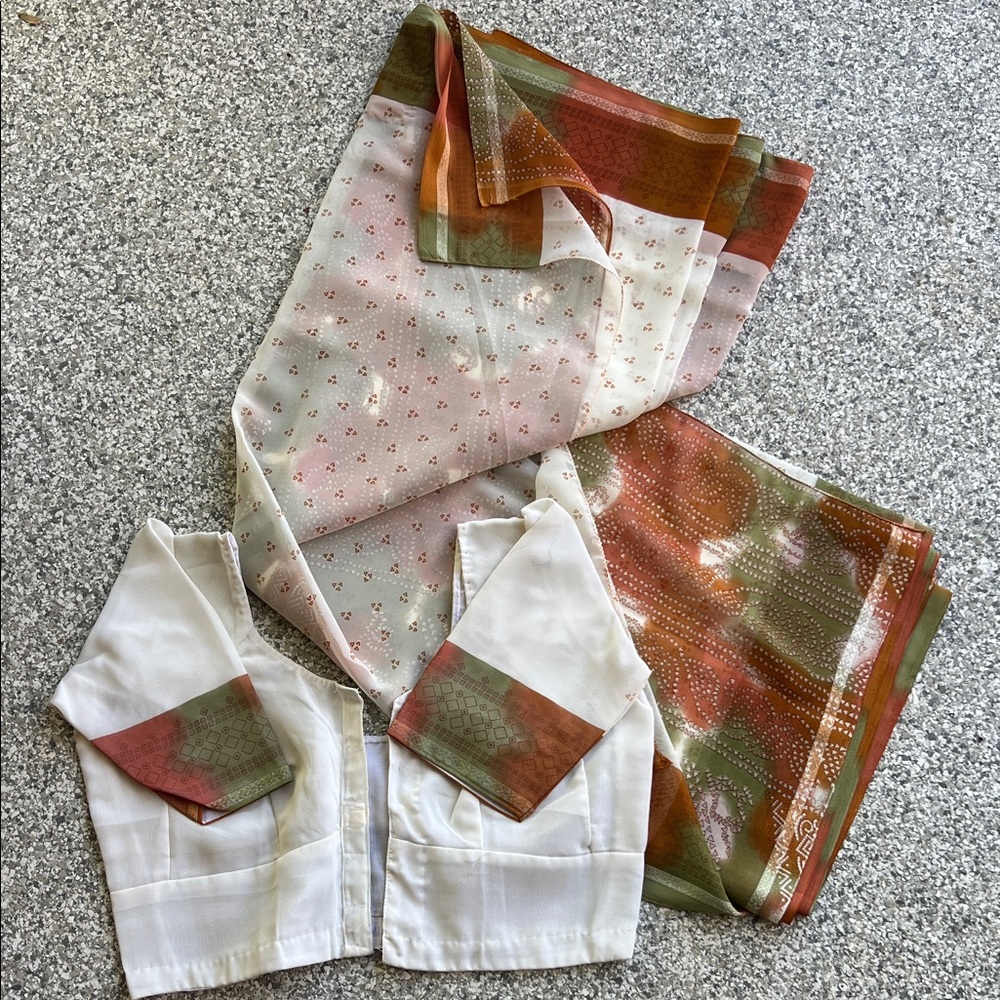 Elegant  Sari with Blouse